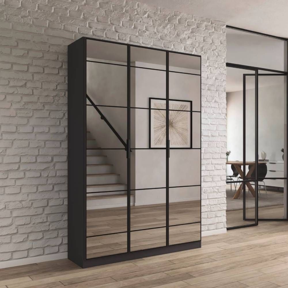 Rauch Acero Metallic Grey Full Mirror Hinged Door Wardrobe