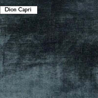 Dion Capri